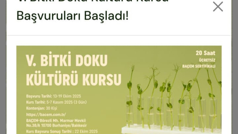 Balıkesir Büyükşehir Belediyesi çevrimiçi platformlarını yeniliyor